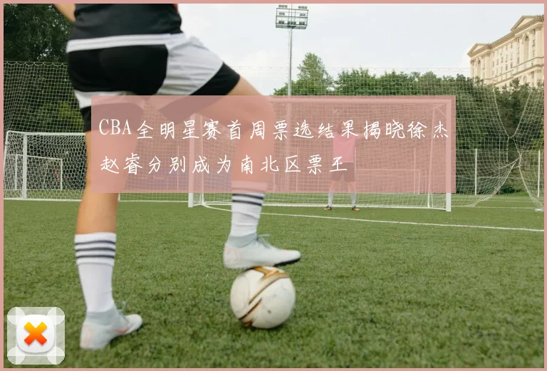 CBA全明星赛首周票选结果揭晓徐杰赵睿分别成为南北区票王